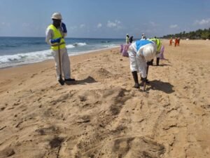 Pollution des plages à Grand Bassam, Azuretti, Modeste et Mondoukou: Les mesures prises